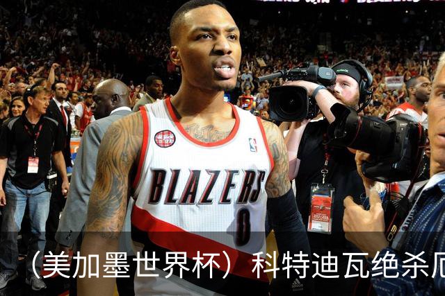 （美加墨世界杯）科特迪瓦绝杀厄瓜多尔 瑞典5:1大胜突尼斯